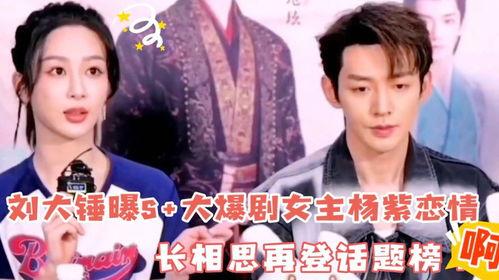 刘大锤最新爆料杨紫恋情,刘大锤独家爆料，神秘男友身份引热议